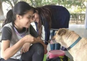 Venezuela: Saving Abandoned Pets Lives