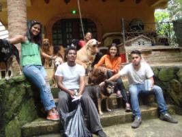 SAI Creates Safe Haven For Abandoned Dogs