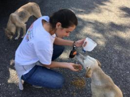 We Have A Big Heart For Animals Especially Those Abandoned & Neglected in Venezuela