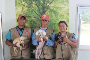 SAI-A&G Sanctuary and Dog Shelter Update!﻿