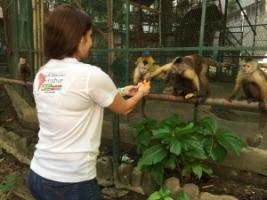 Venezuela Zoo Crisis: How Your Donations Save Starving Zoo Animals
