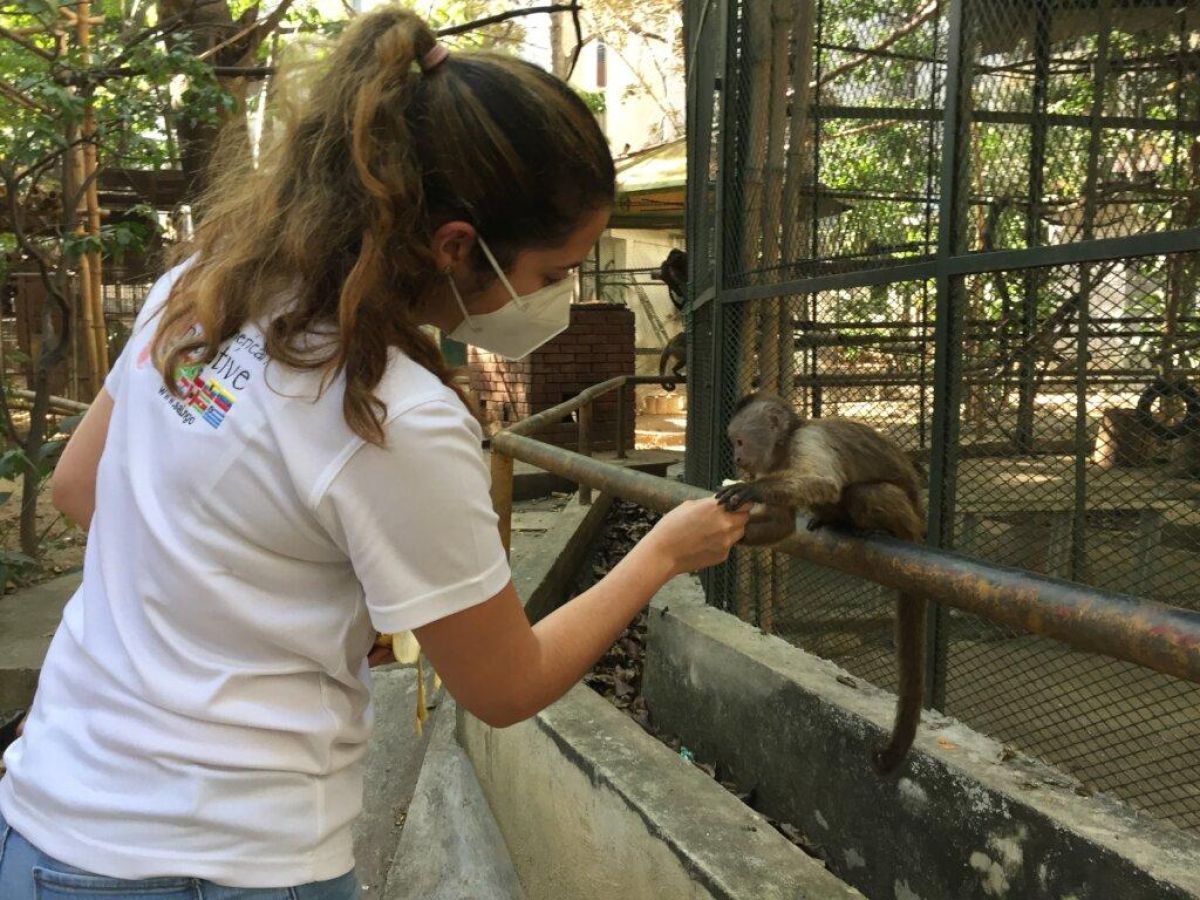 Saving Zoo Animals Lives in Venezuela!﻿