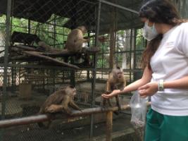 SAI-A&G animal rescue program