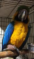 SAI Venezuela continues to provide zoos and refugees with vital support!